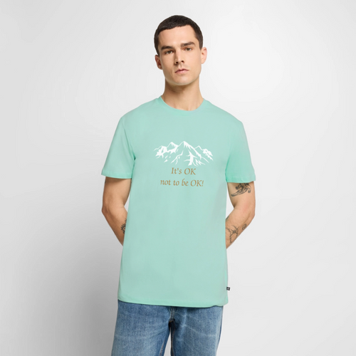 It's OK not to be OK! - Men premium T-shirt - mint 